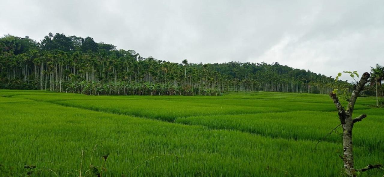 Kuruva Shoreline Wayanad Chegāt Eksteriør bilde