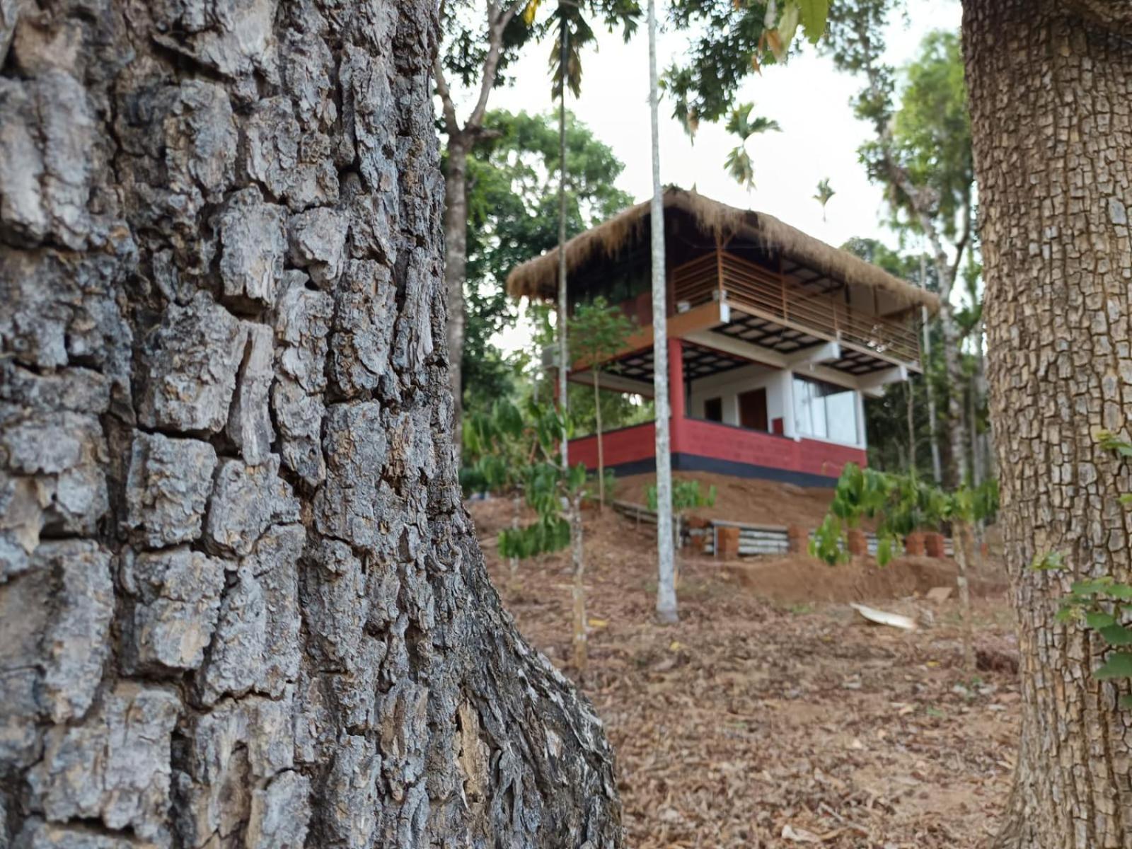 Kuruva Shoreline Wayanad Chegāt Eksteriør bilde