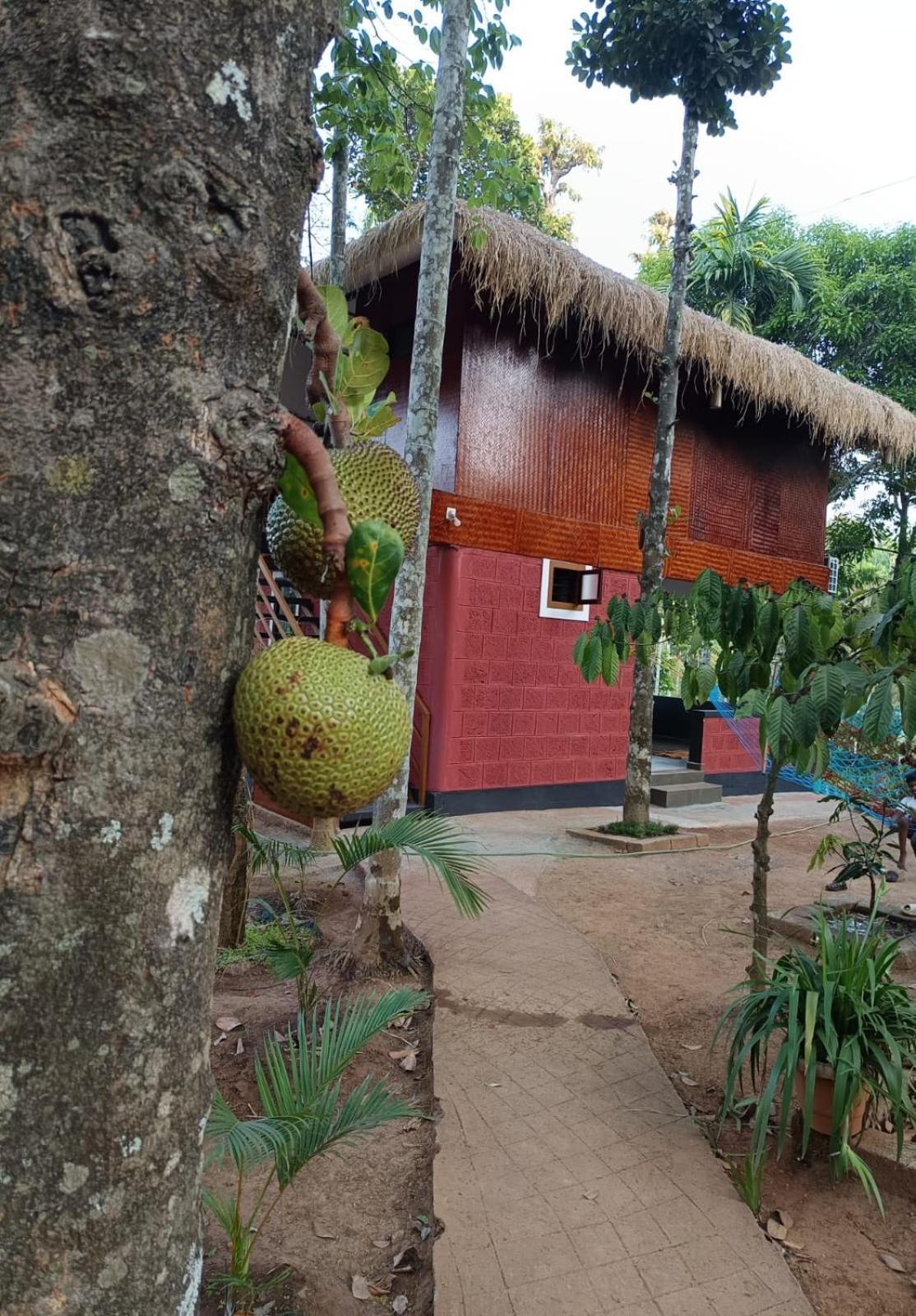 Kuruva Shoreline Wayanad Chegāt Eksteriør bilde